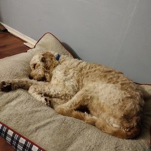 Meet your Posher, Stefanie